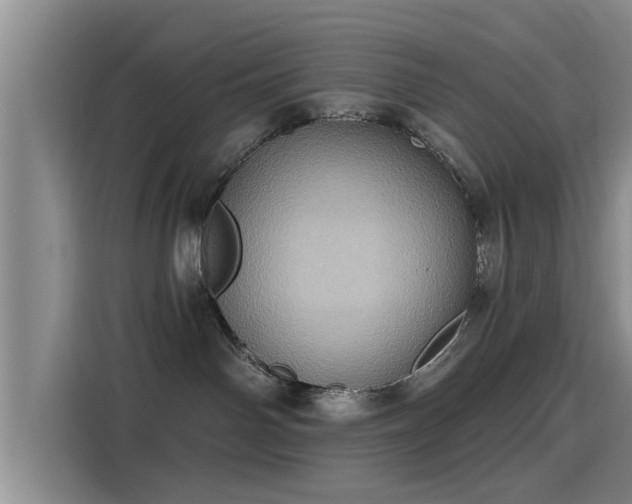 X0000115450142200911121201