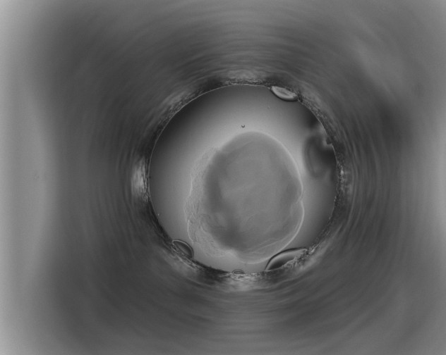 X0000115450143200911121201