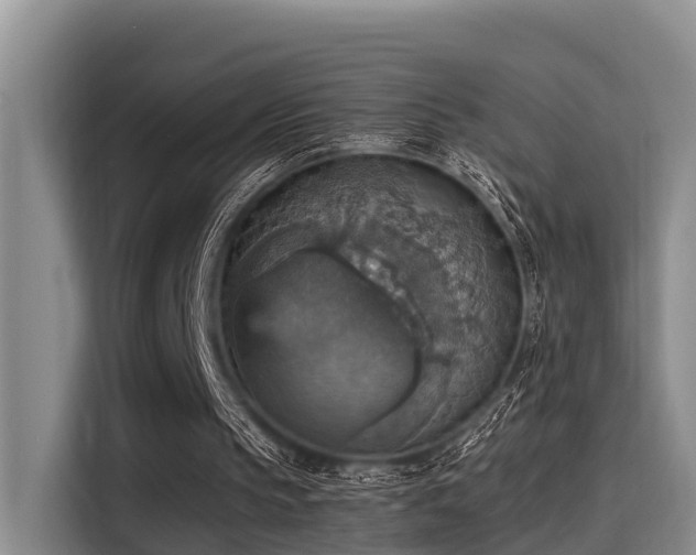 X0000115450145200911121200