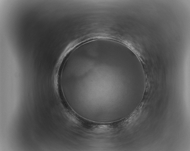 X0000115450151200911121200