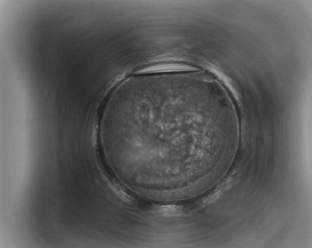 X0000115450153200911121201