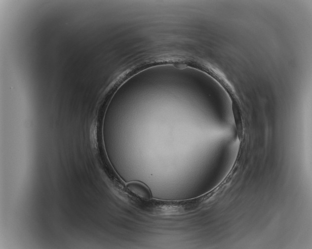 X0000115450154200911121201