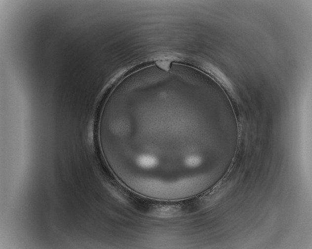 X0000115450155200911121201