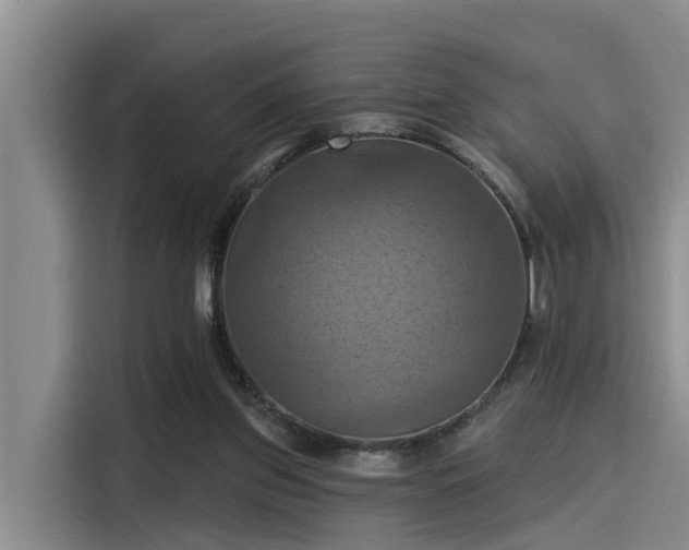 X0000115450157200911121201