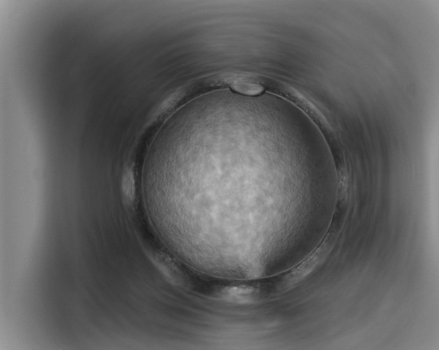 X0000115450158200911121201