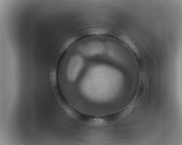 X0000115450159200911121201