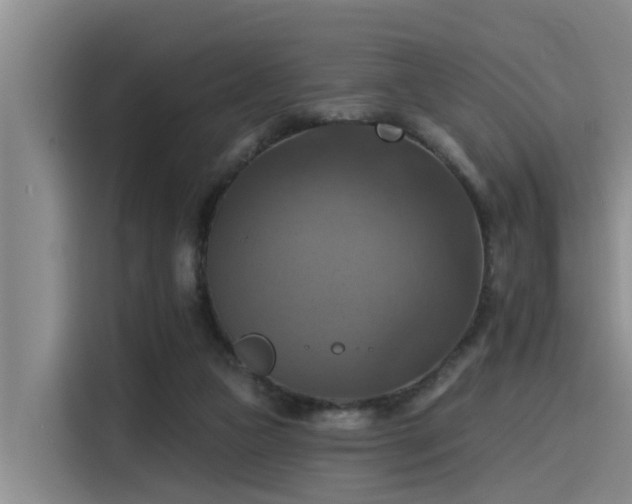 X0000115450161200911121201