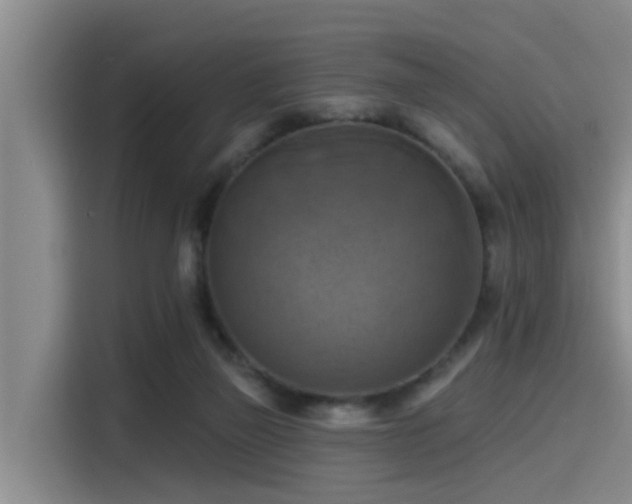 X0000115450165200911121201