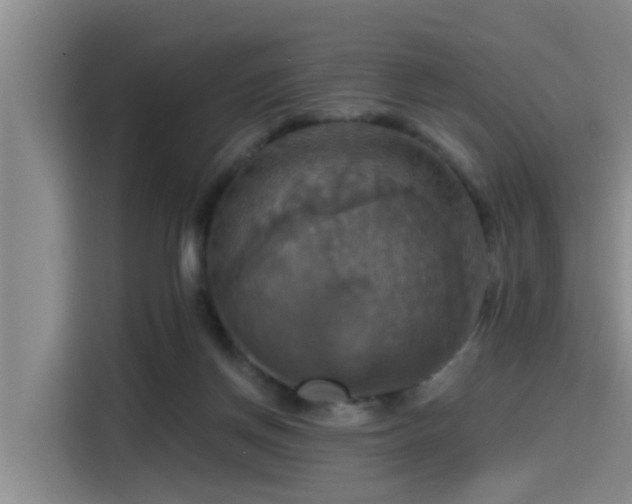 X0000115450166200911121201