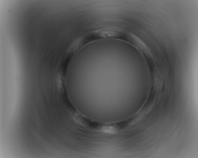 X0000115450169200911121201