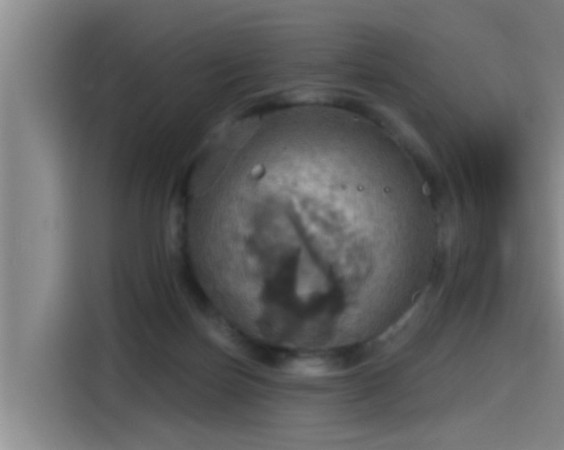 X0000115450171200911121201