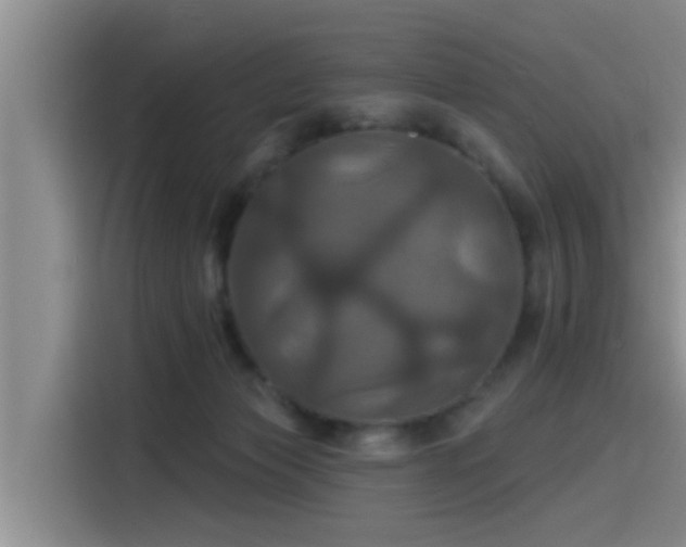 X0000115450173200911121201