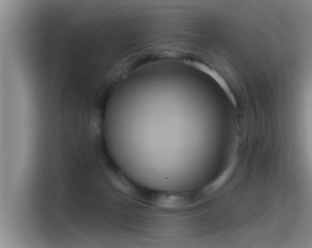 X0000115450174200911121201