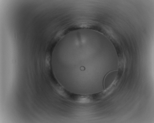 X0000115450175200911121201