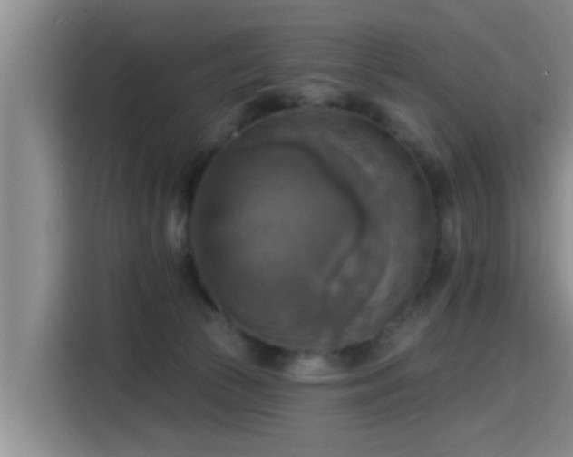 X0000115450177200911121201