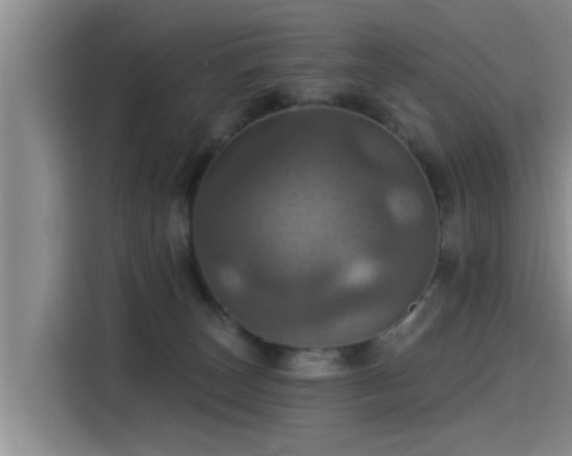 X0000115450179200911121201