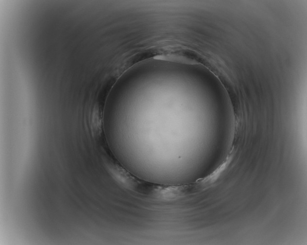 X0000115450186200911121201