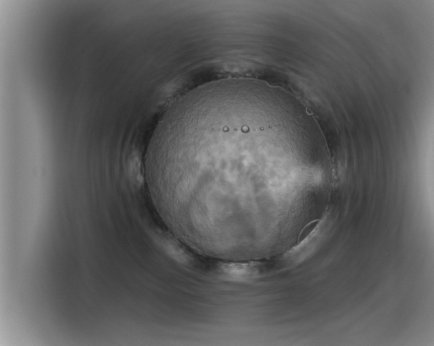 X0000115450187200911121201