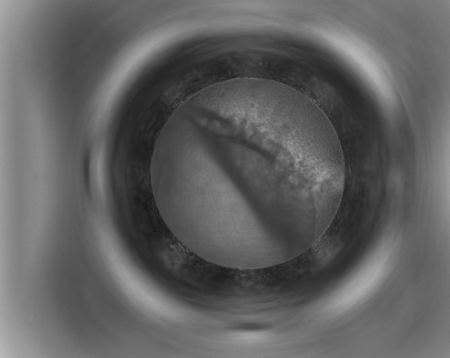 X0000115450189200911121201