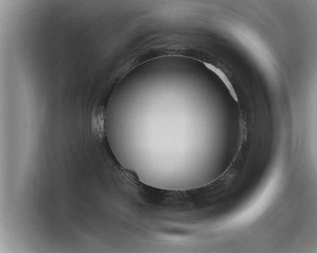 X0000115450190200911121201