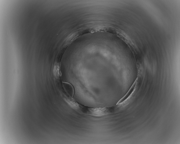 X0000115450191200911121201