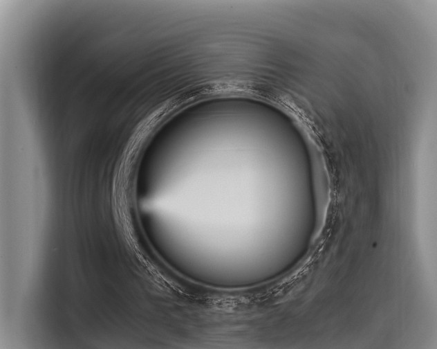 X0000115450193200911121200