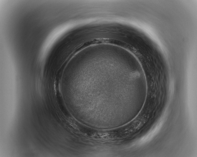 X0000115450194200911121200