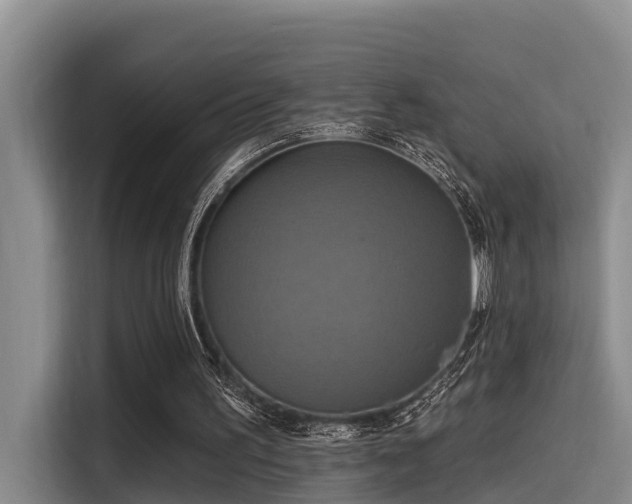 X0000115450195200911121200