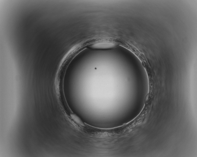 X0000115450197200911121200