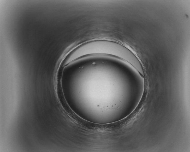 X0000115450199200911121200