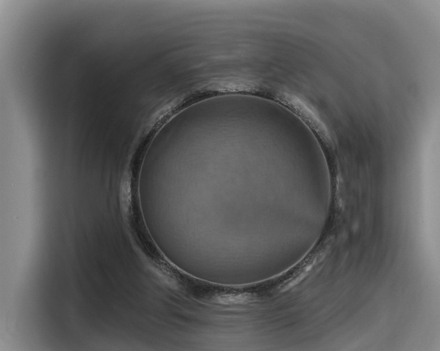 X0000115450202200911121200