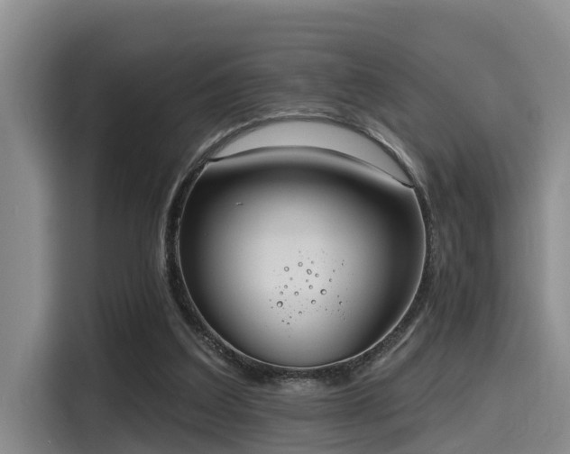 X0000115450203200911121200