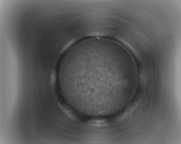 X0000115450208200911121200