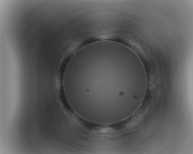 X0000115450210200911121200