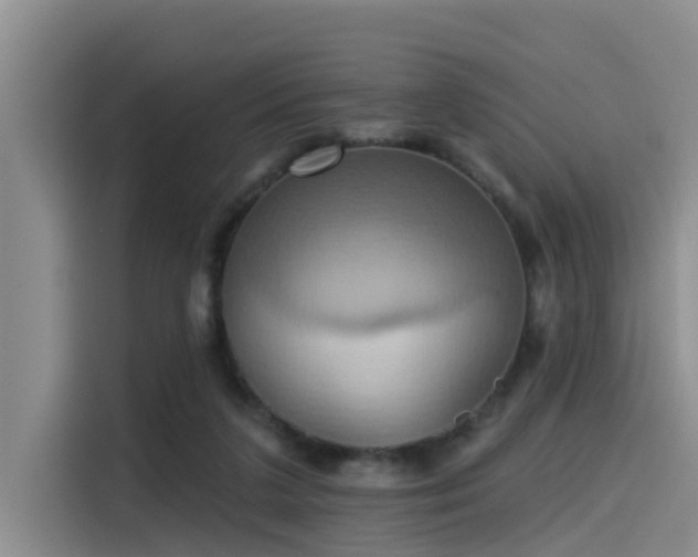 X0000115450211200911121200