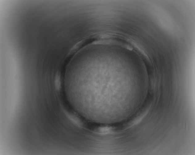 X0000115450216200911121200