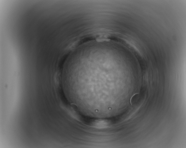 X0000115450218200911121200