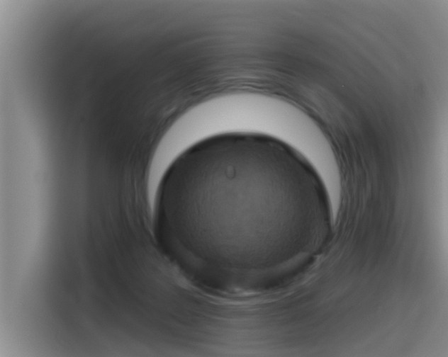 X0000115450219200911121200