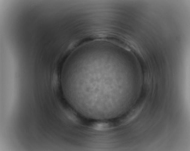 X0000115450220200911121200