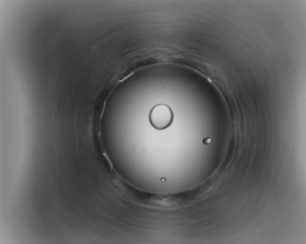 X0000115450221200911121200