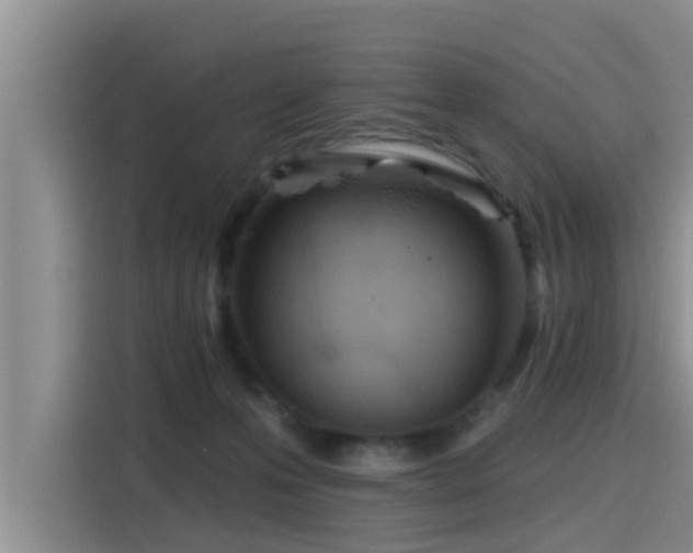 X0000115450223200911121200