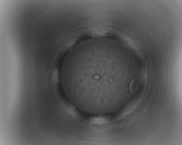 X0000115450224200911121200