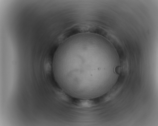 X0000115450226200911121200