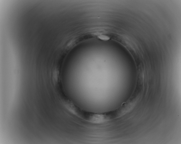 X0000115450227200911121200