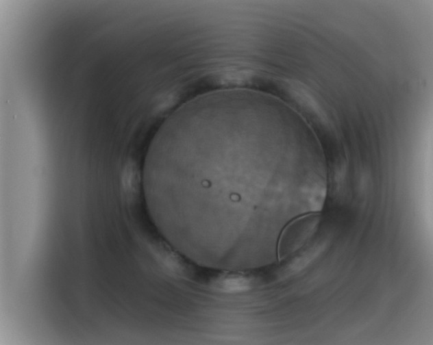 X0000115450228200911121200