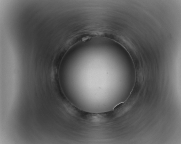 X0000115450229200911121200