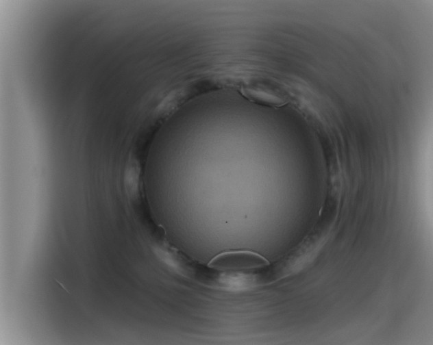 X0000115450231200911121200