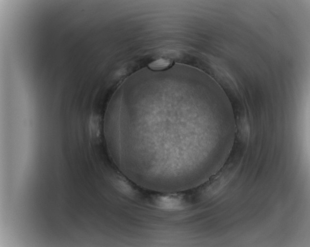 X0000115450232200911121200