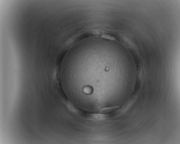 X0000115450233200911121200