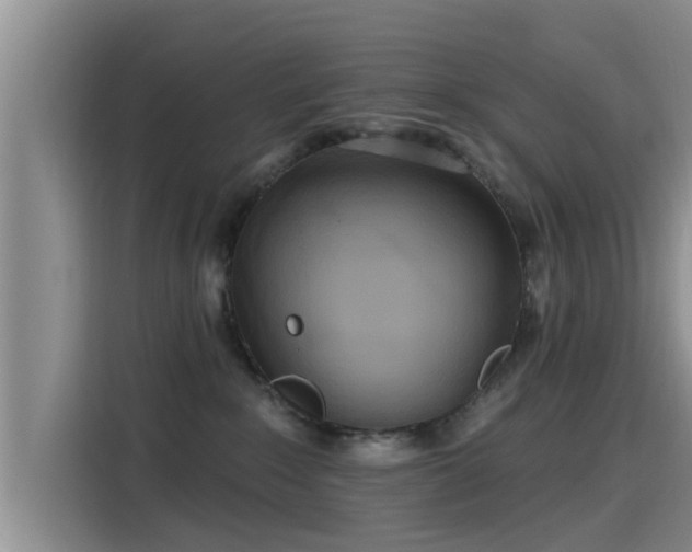 X0000115450235200911121200